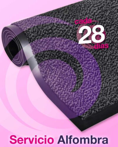 Servicio Alfombra textil